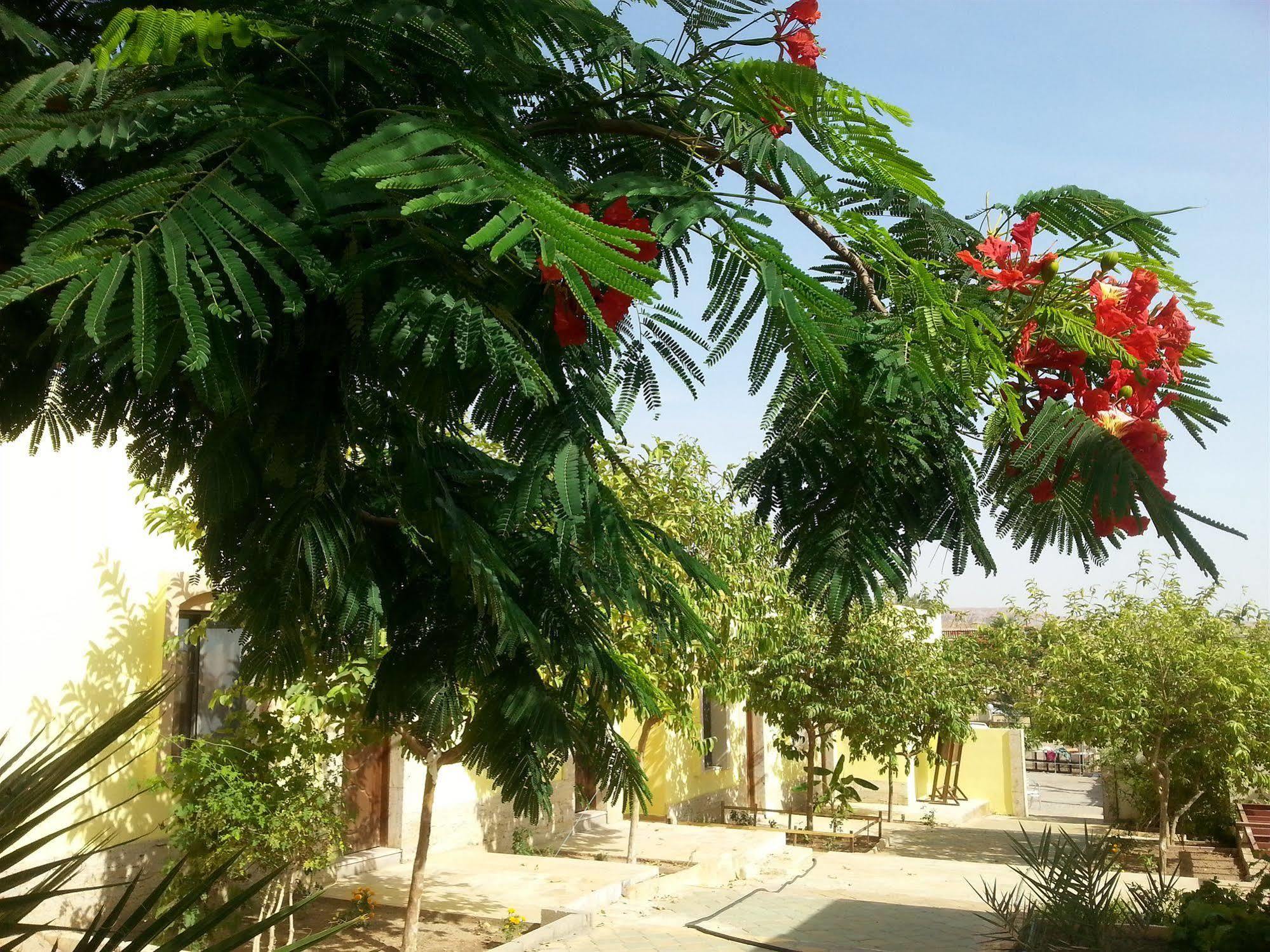 Darna Village Beach Hostel Al Burj Exterior foto